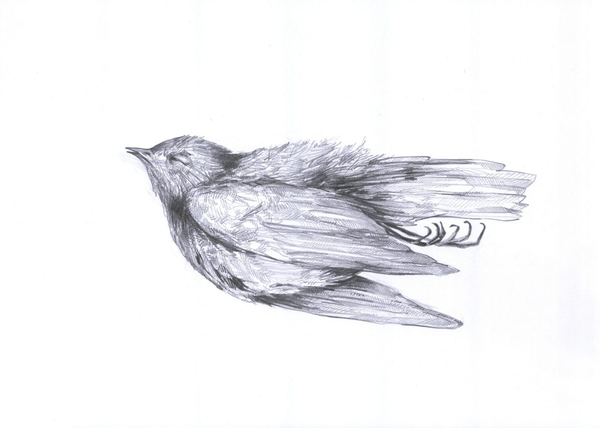 Abflug