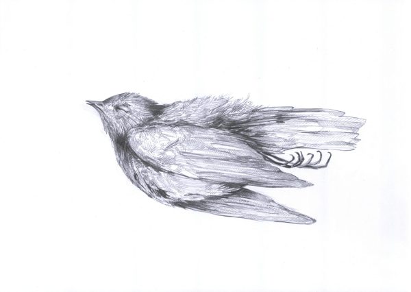 Abflug