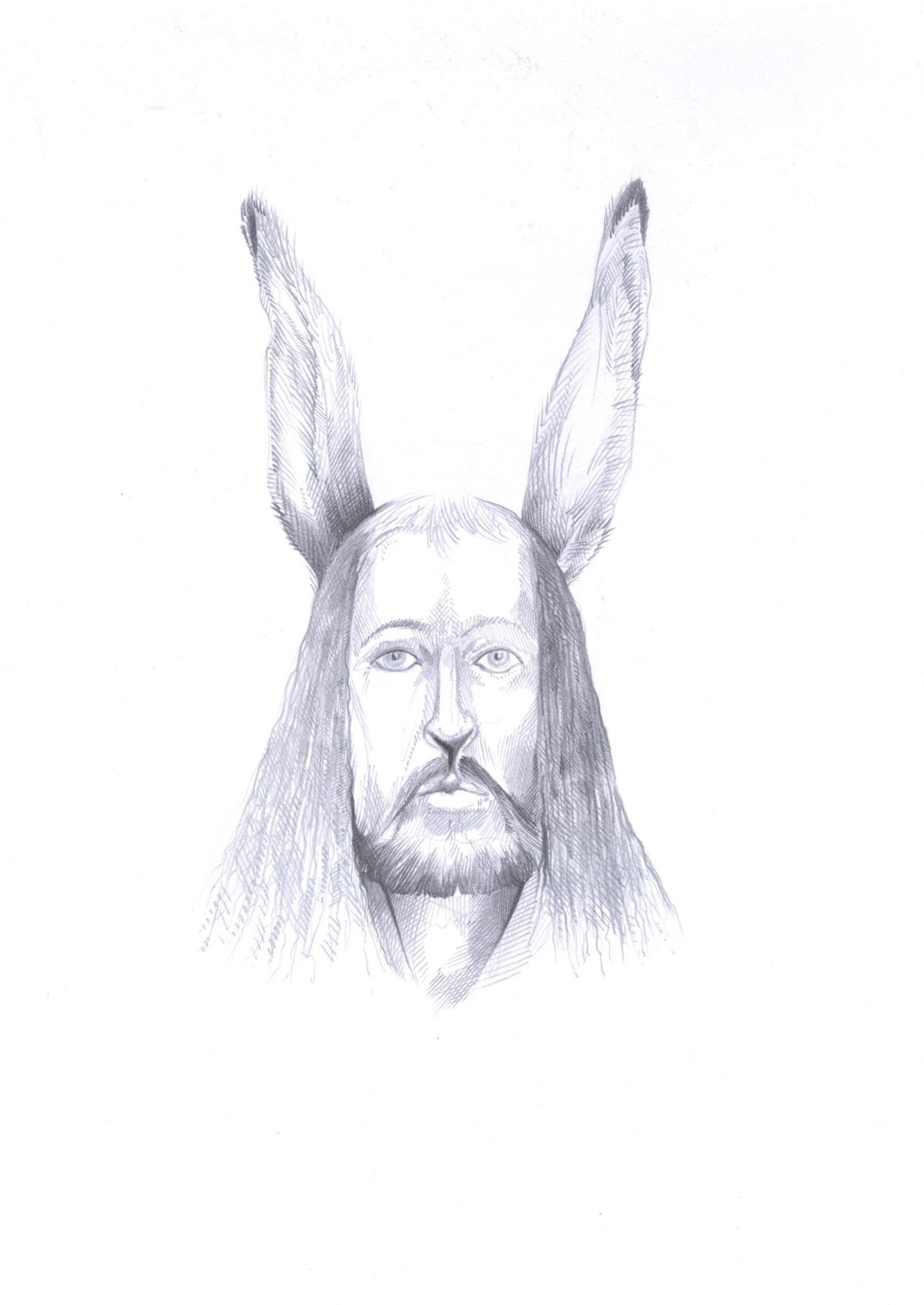 Albrechts Hase