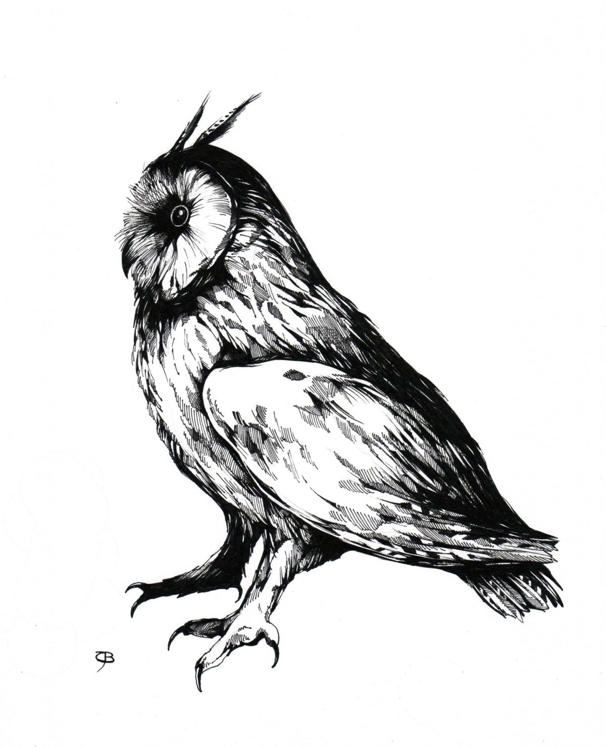 Aufgehorcht