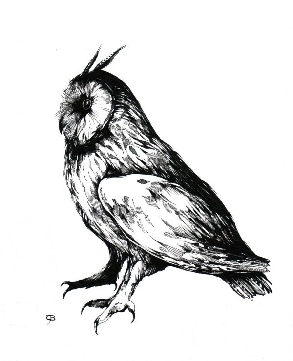 Aufgehorcht