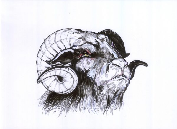 Bock