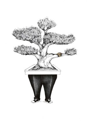 Bonzai