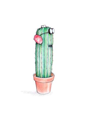 Cactus contentus