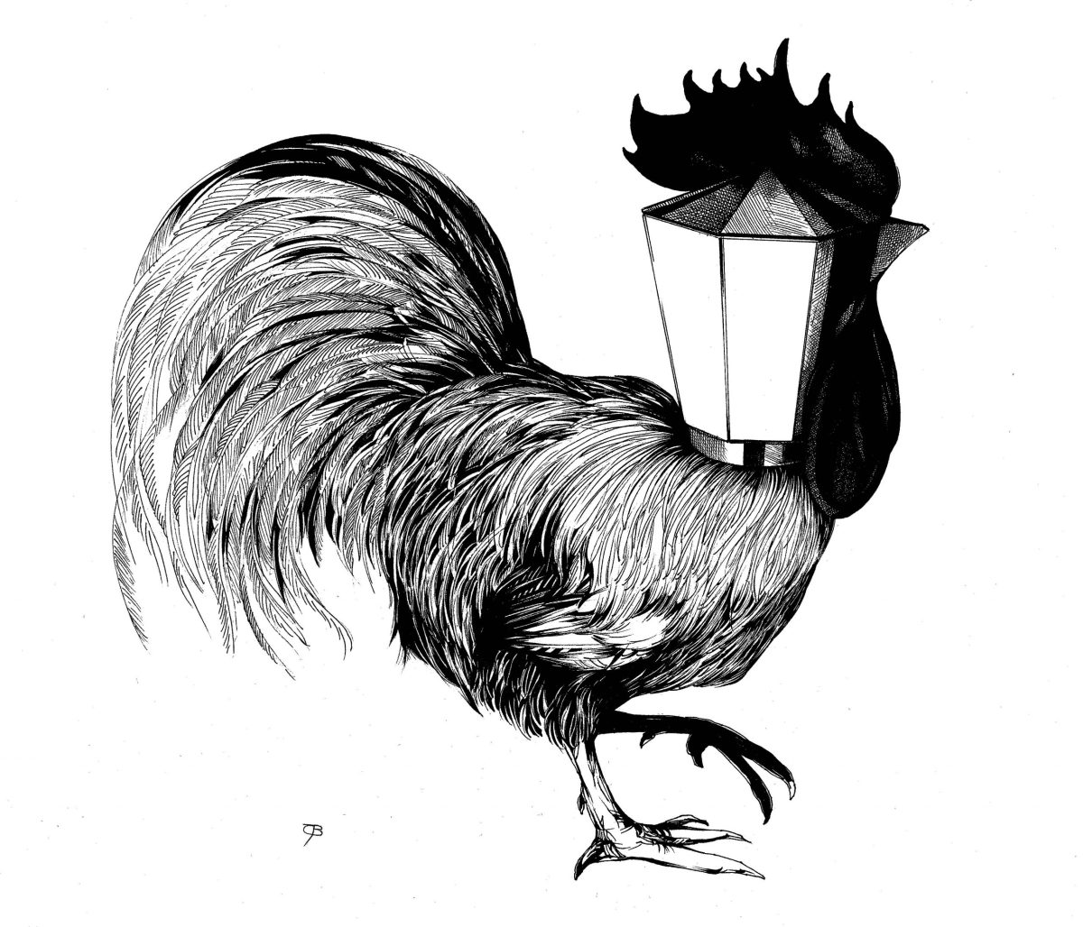 Cocky Caffeine