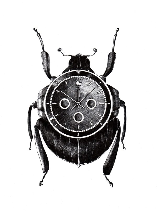 Coleopteros Rolex