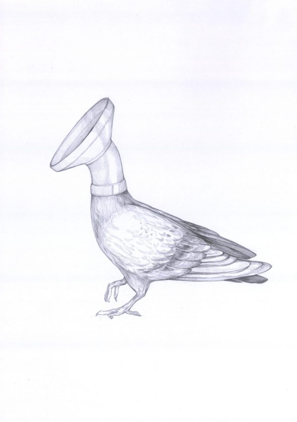 Dunsttaube