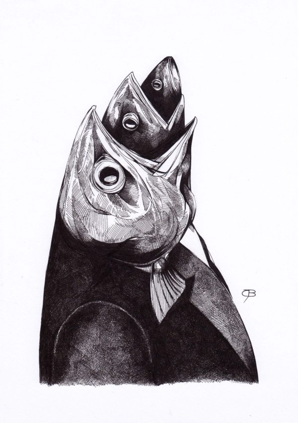 Feeding Fish