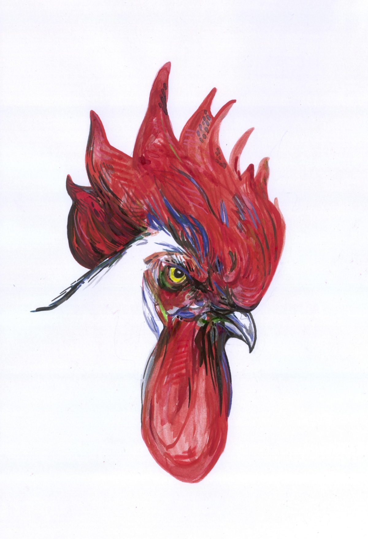 Feuerkopf