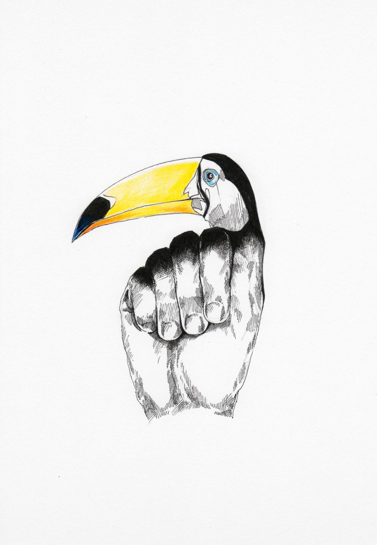 Fingerschnabel