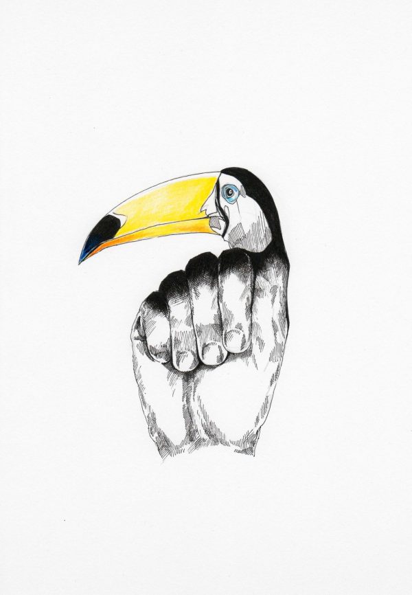 Fingerschnabel