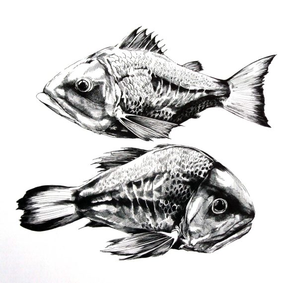 Fische