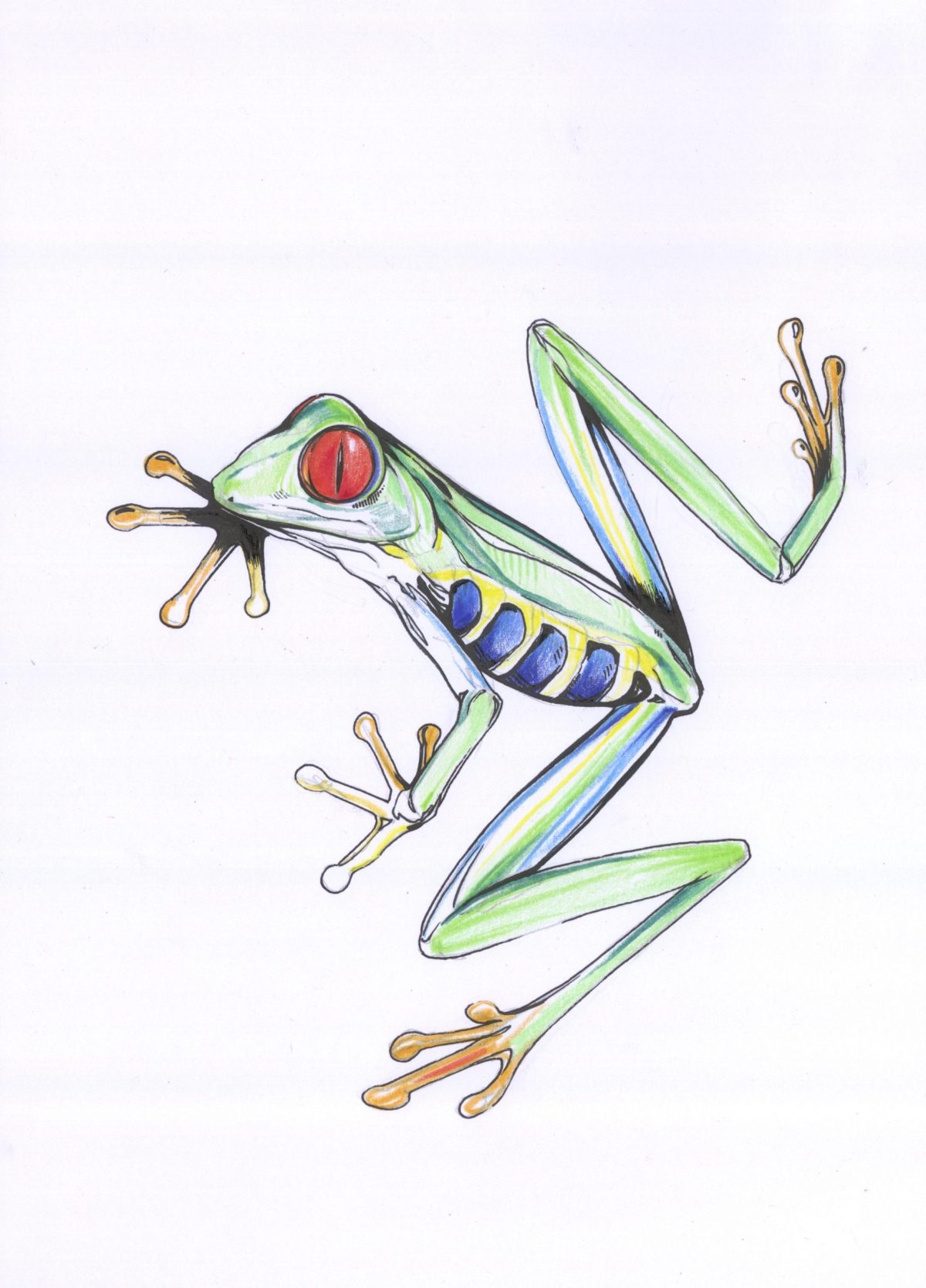 Frosch