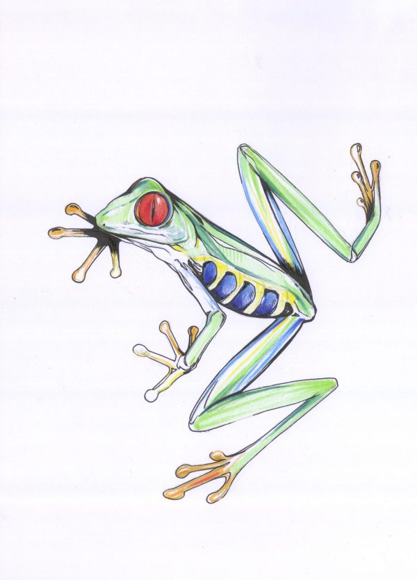 Frosch