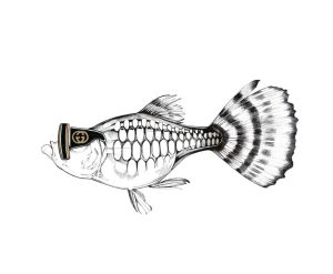 Gucci Guppy