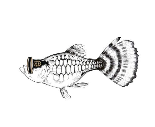 Gucci Guppy