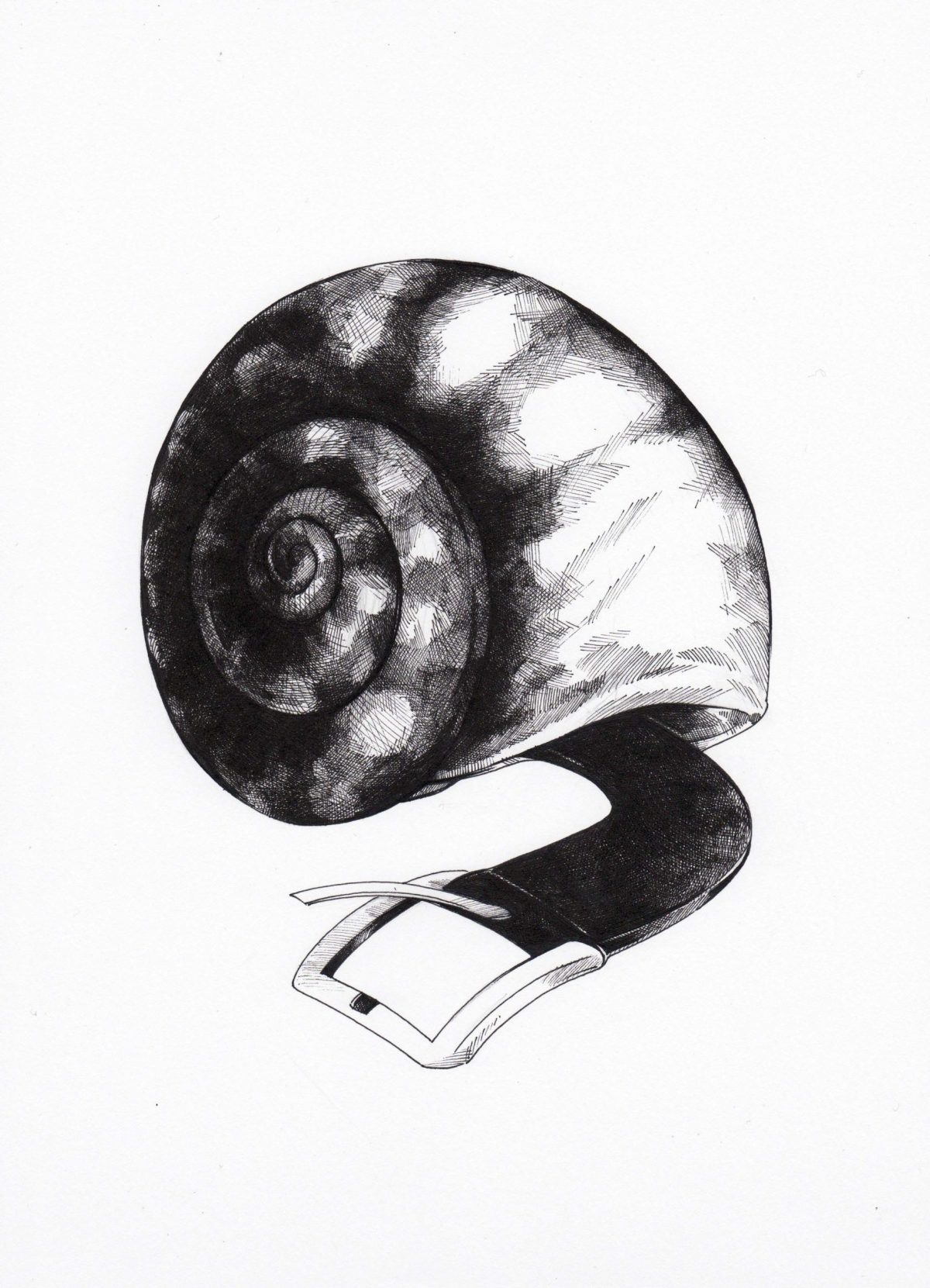 Gürtelschnecke