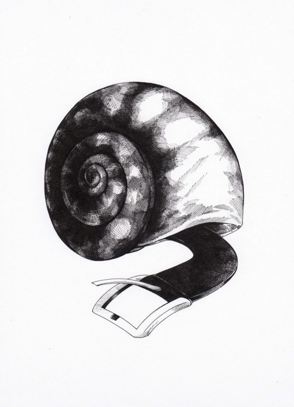 Gürtelschnecke