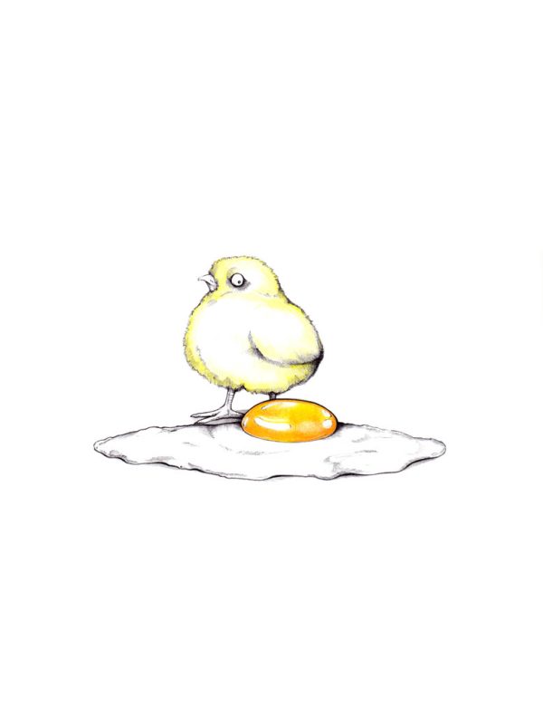 Huhn oder Ei