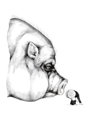 Kleines Trüffelschwein