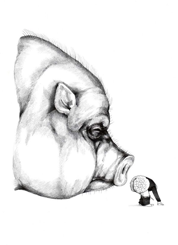 Kleines Trüffelschwein