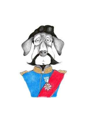 Königstreuer Pomadendackel