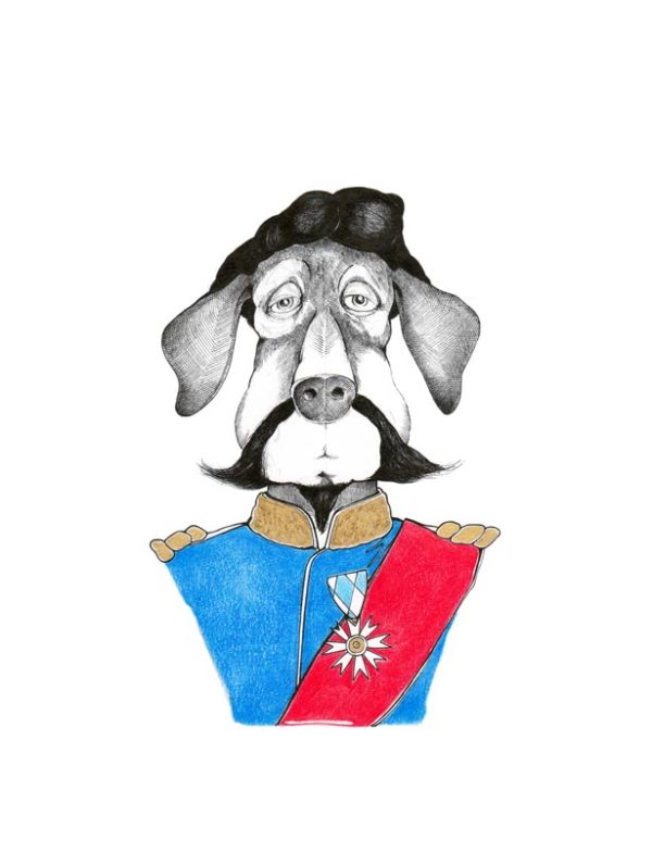 Königstreuer Pomadendackel