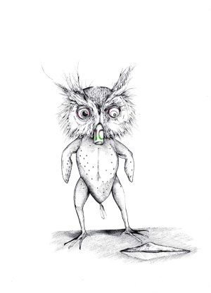 Kokskäuzchen