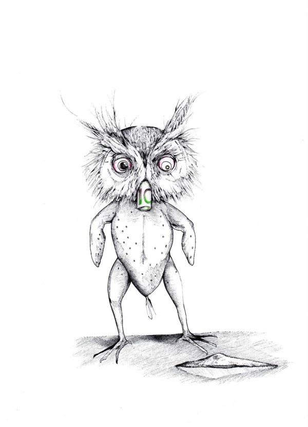 Kokskäuzchen
