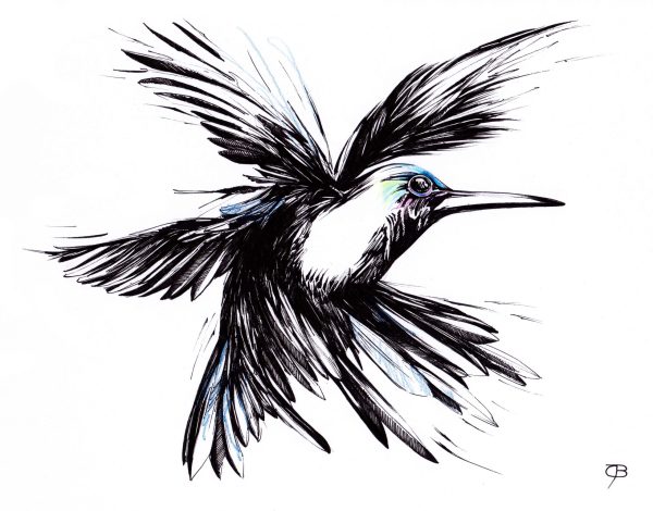 Kolibri