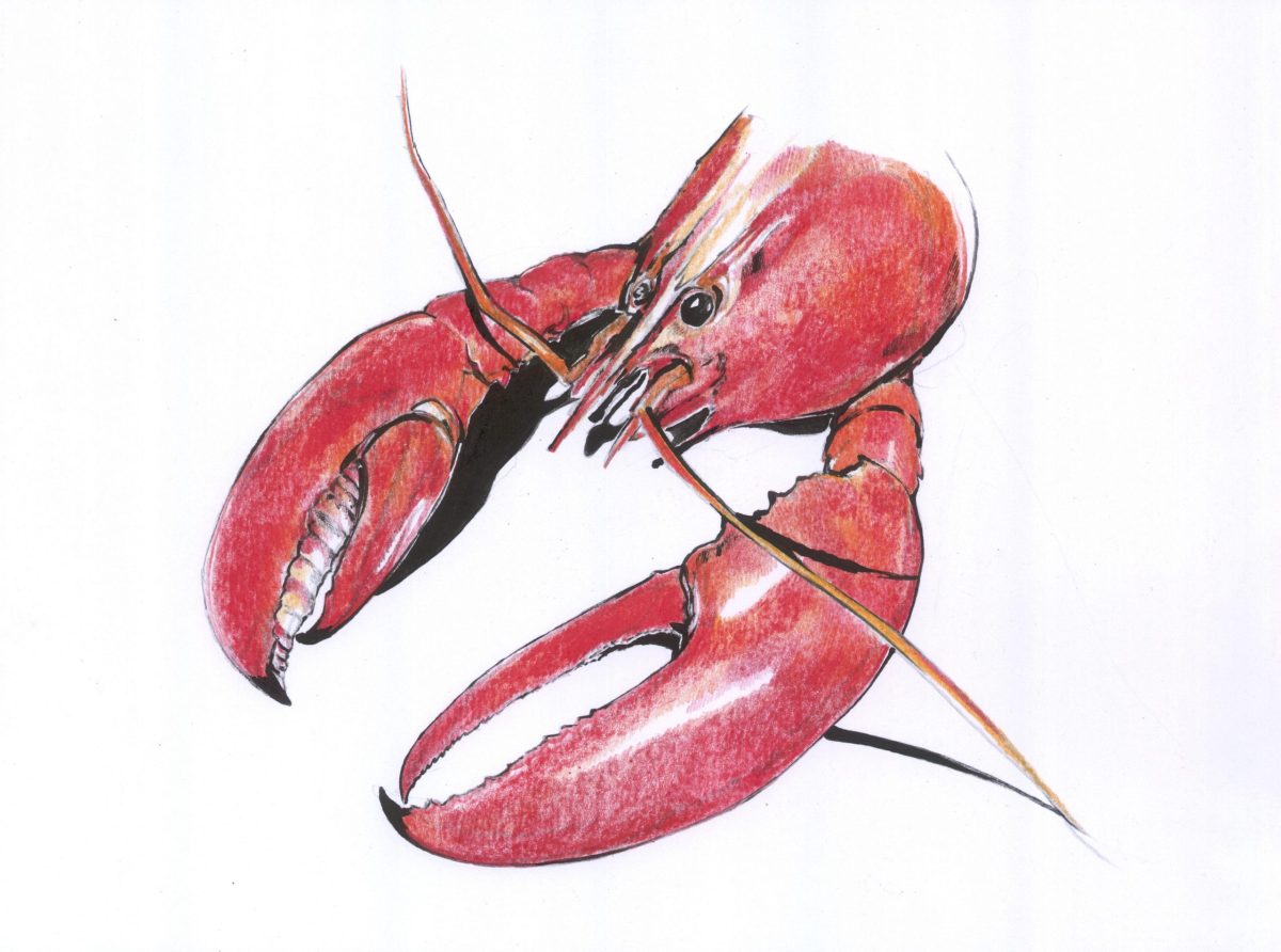 Krebsrot