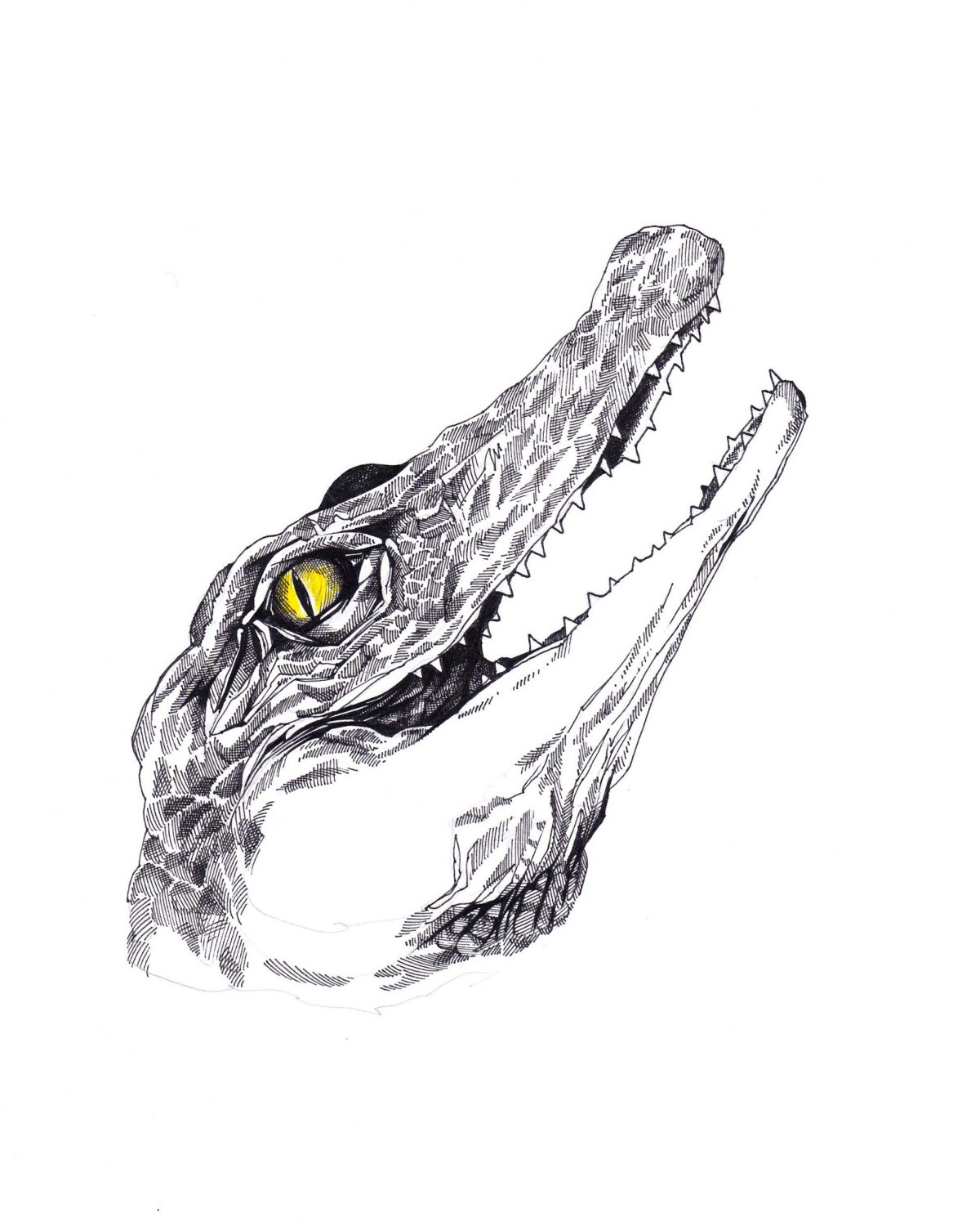 Krokodil