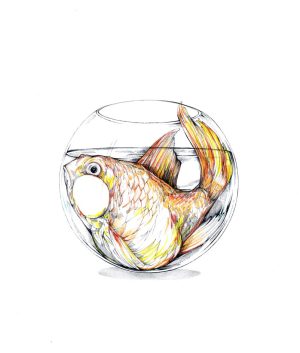 Like a Fish in the Water