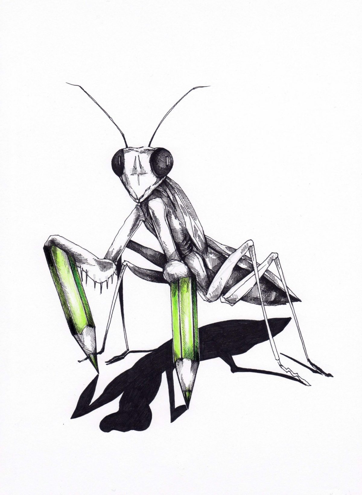 Mantis