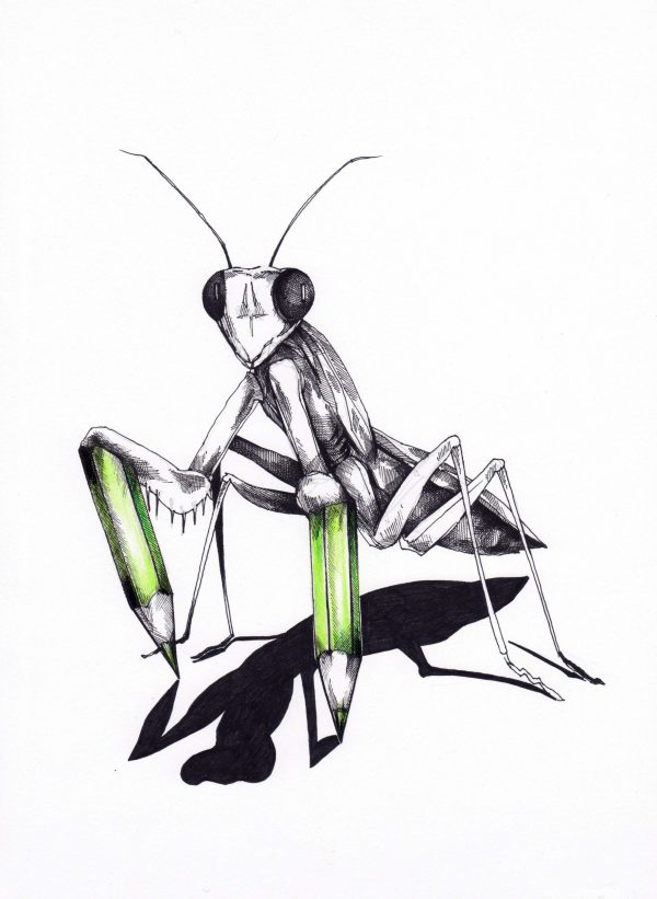 Mantis
