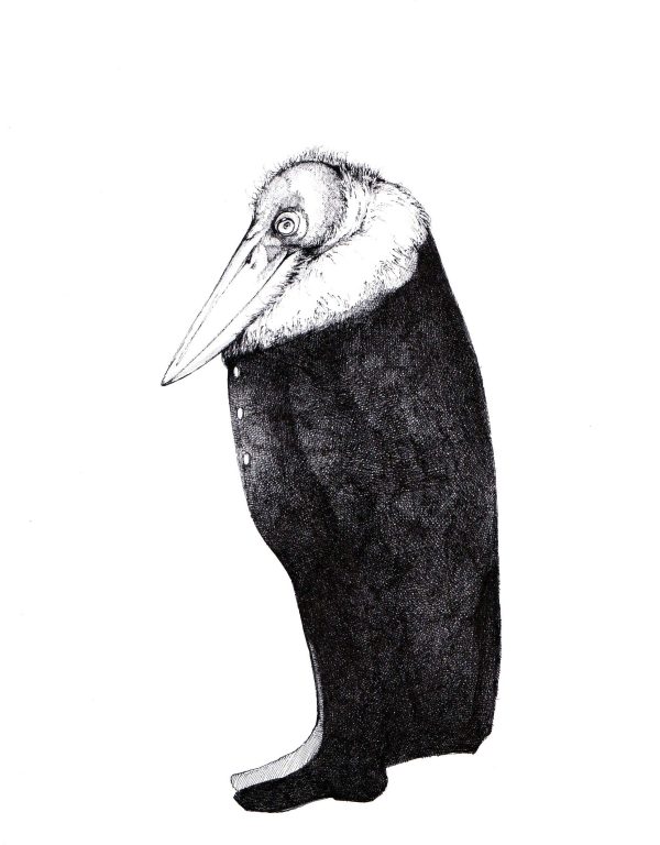 Marabu