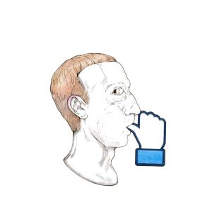 Mark Suckerberg likes that