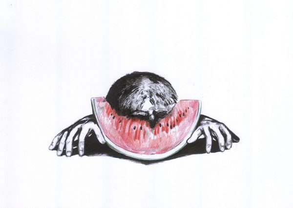 Melonenzeit