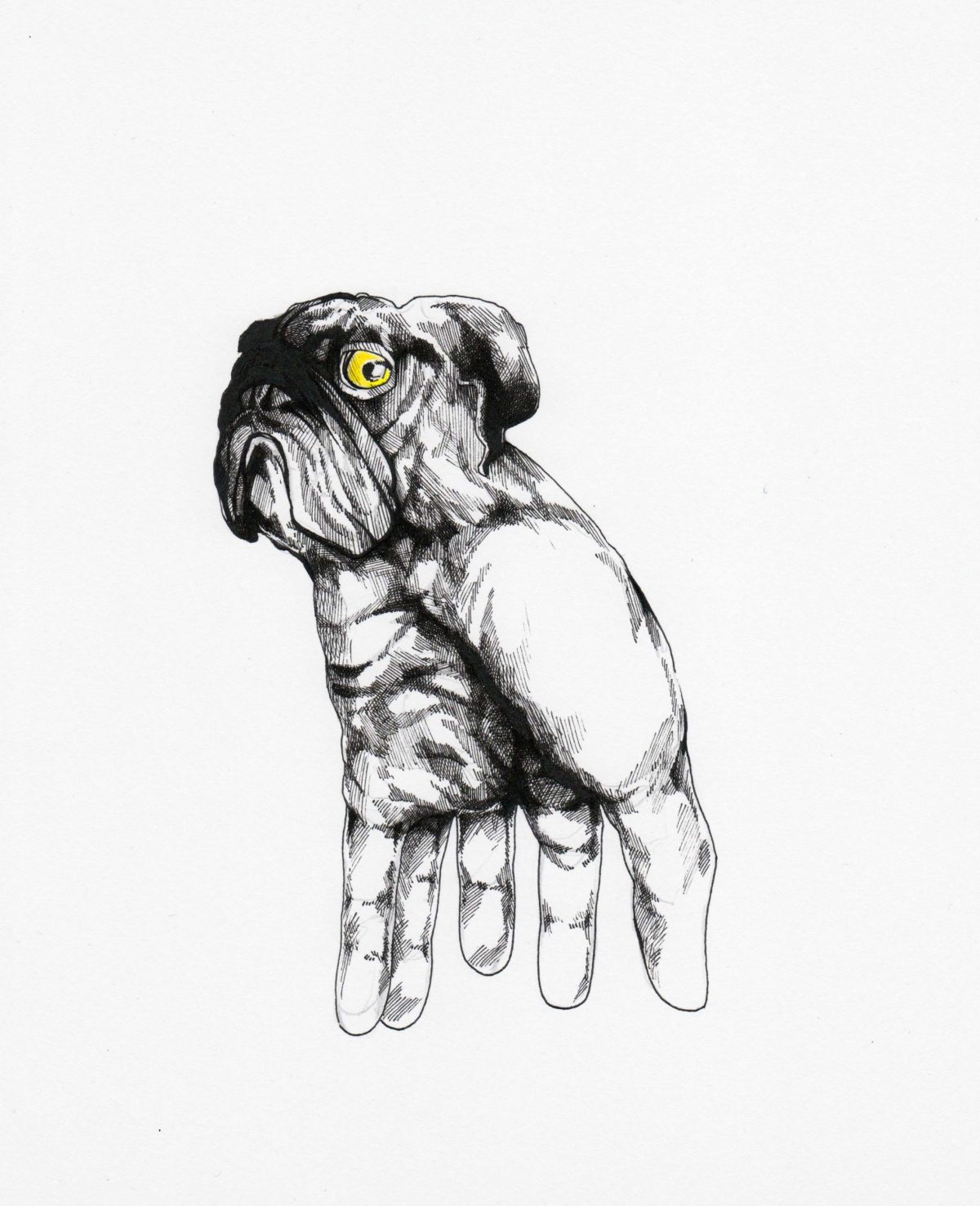 Mopsgriffel