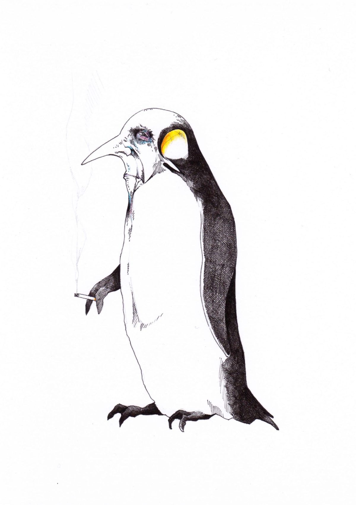Penguin Man