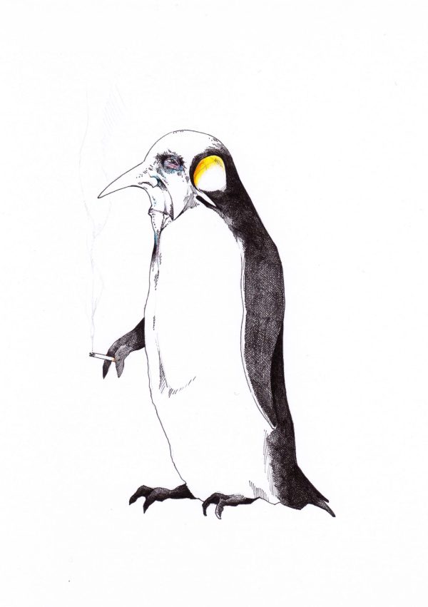 Penguin Man