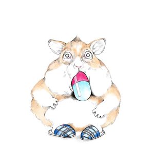 Pillenhamster