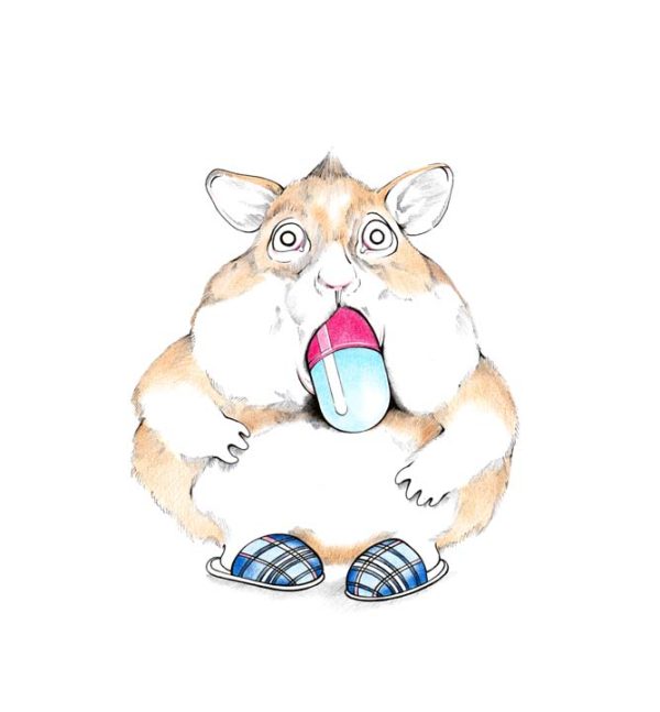 Pillenhamster