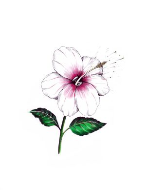 Prusteblume
