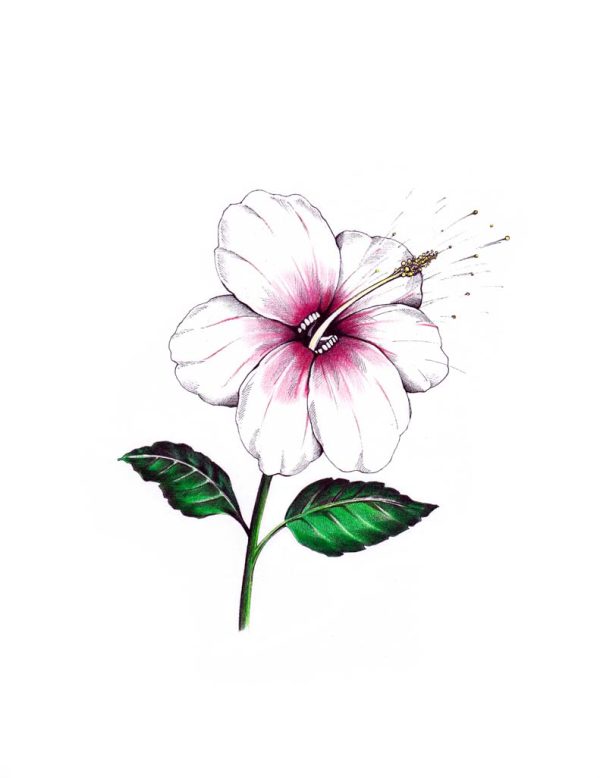 Prusteblume