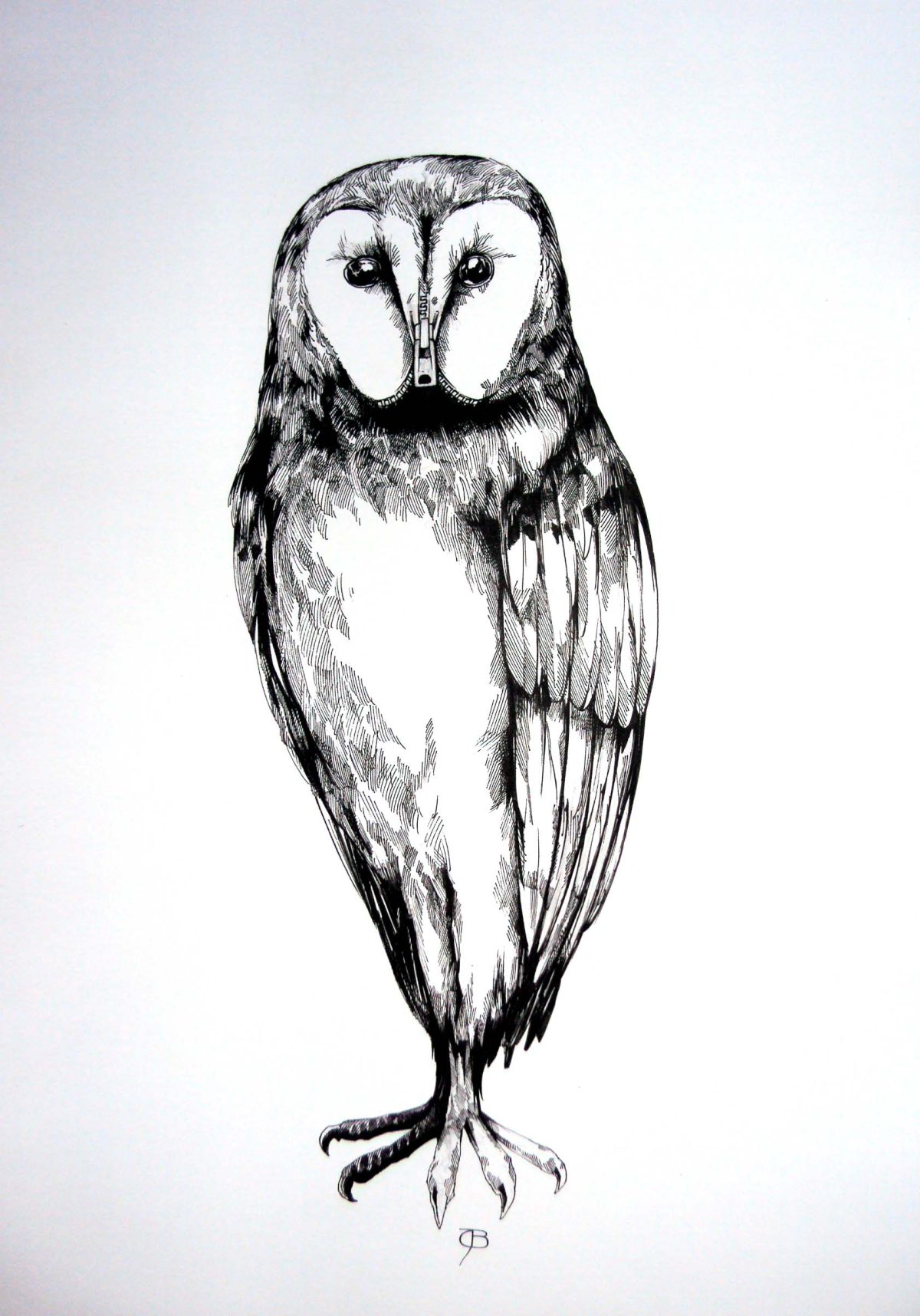 Reißvogel