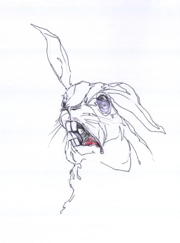 Remembering Watership Down