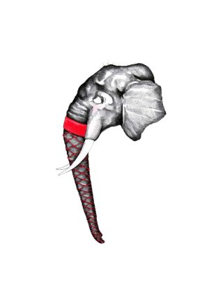Rüsselreize