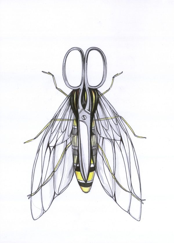 Scherenfliege