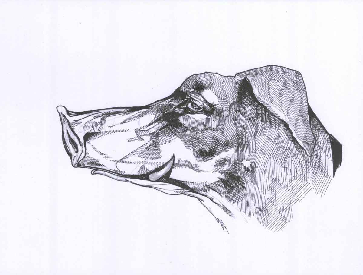 Schweinehund